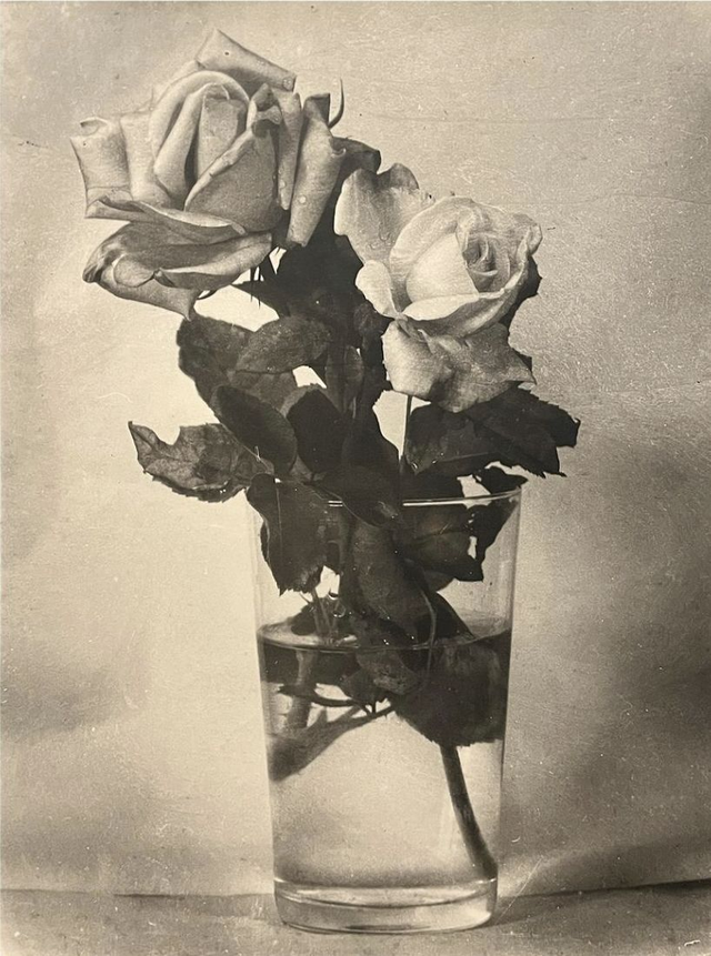 Étude de fleurs : des roses, c.1940