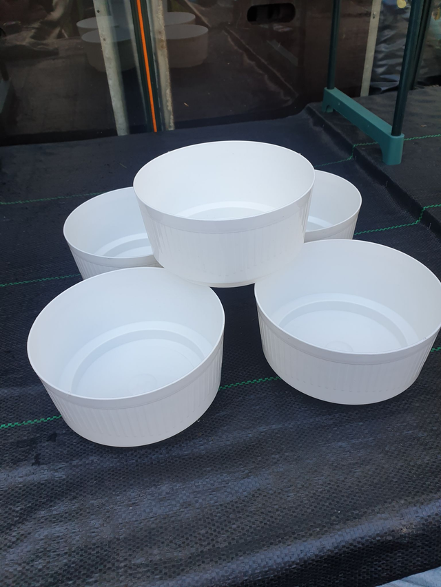 Round Plastic Indoor Bulb Bowl - White