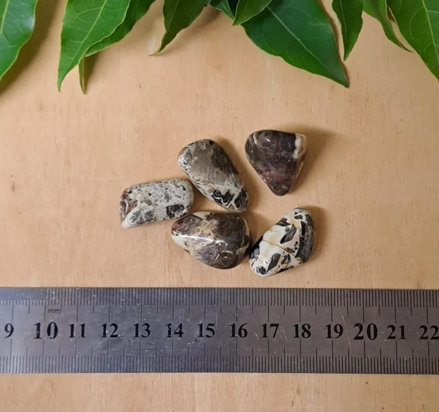 BROWN/CREAM BRECCICATED JASPER TUMBLESTONE