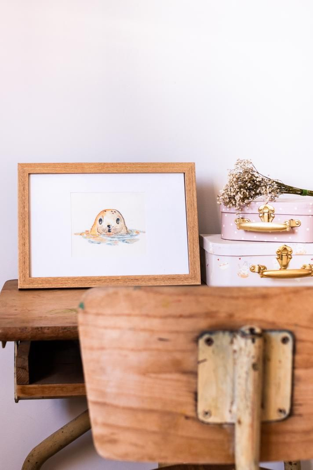 Illustration Petit Phoque