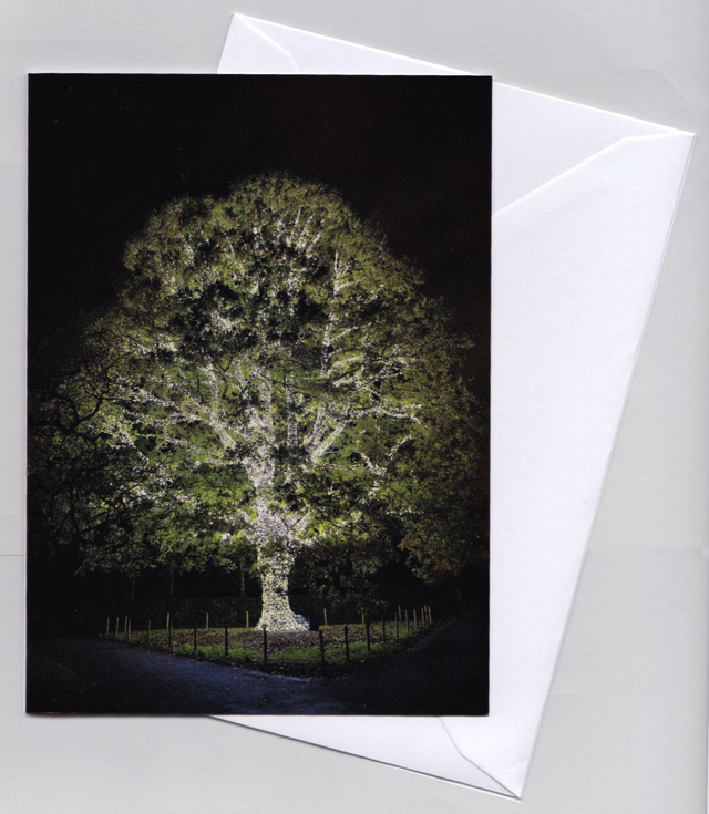 Xmas/Notelet card : Illuminated Oak Tree 6&#039;&#039;x4&#039;&#039; Folded