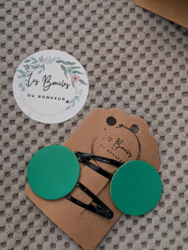Barrette b042