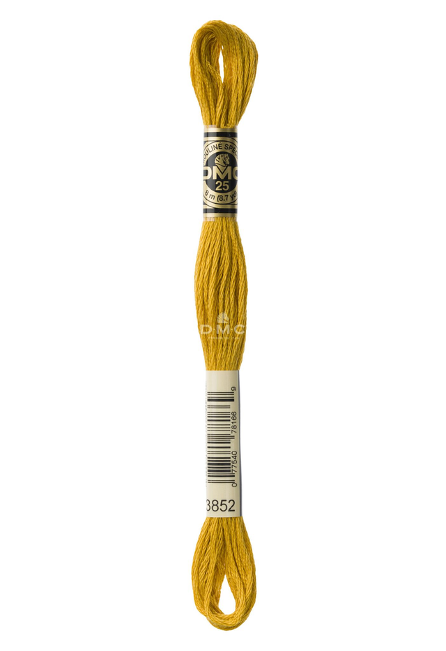 N°3852 Mouliné Spécial DMC