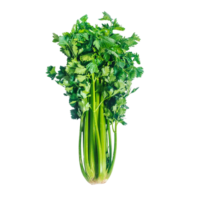 Celeri branche - 500 gr - Origine France