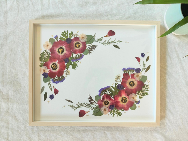 Herbier de fleurs pressées 