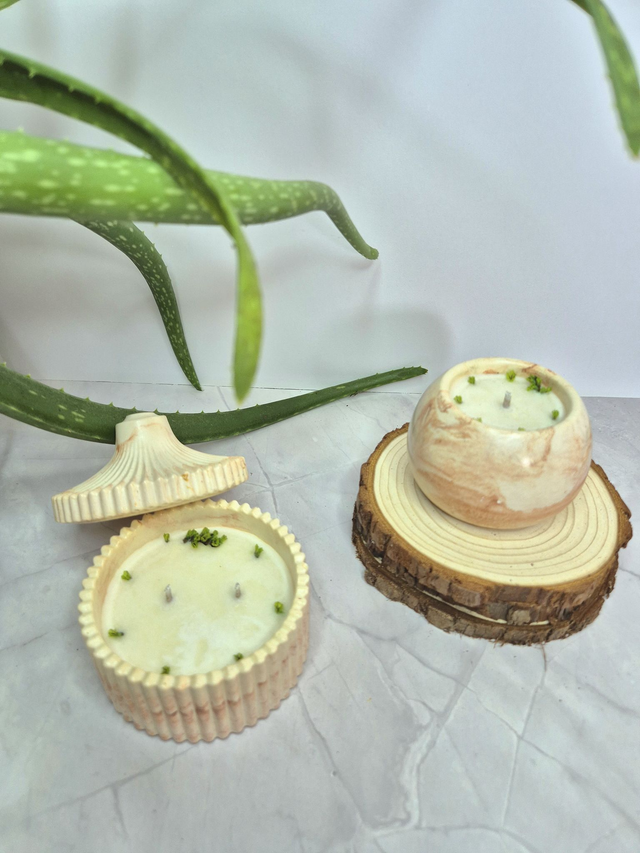 Les bougies Aloe vera