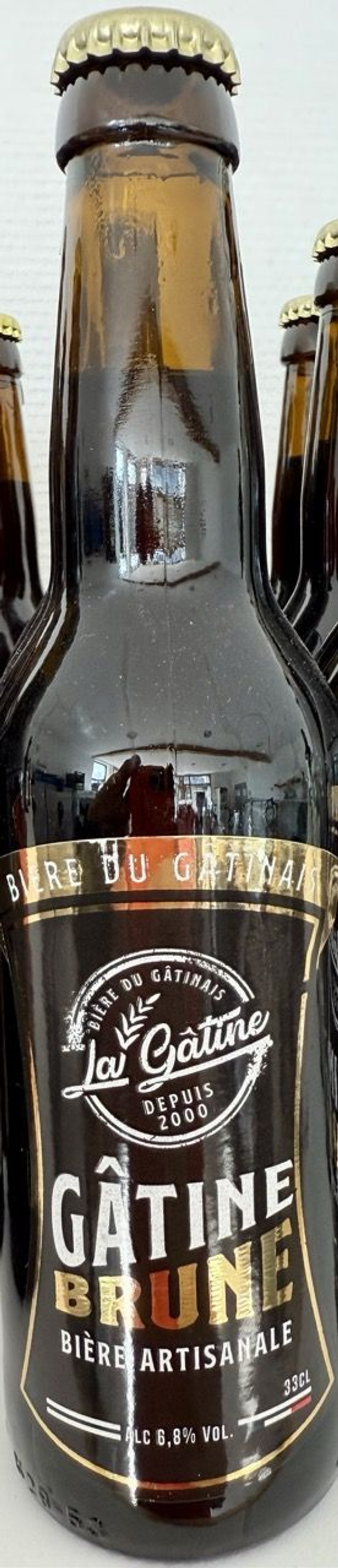bière gâtine brune 33 cL