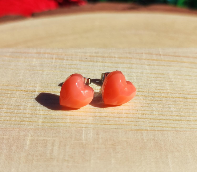 Clous d&#039;oreilles - Rosélia