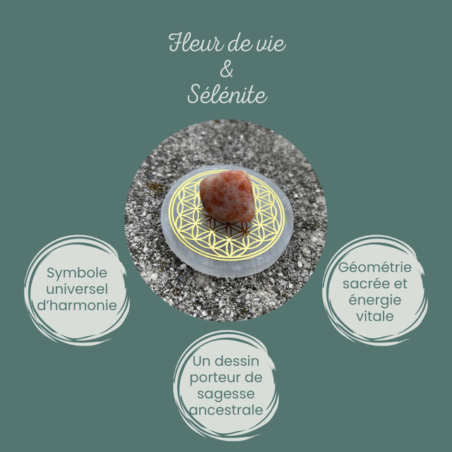 Fleur de Vie en Sélénite Dorée – Lumière &amp; Élégance