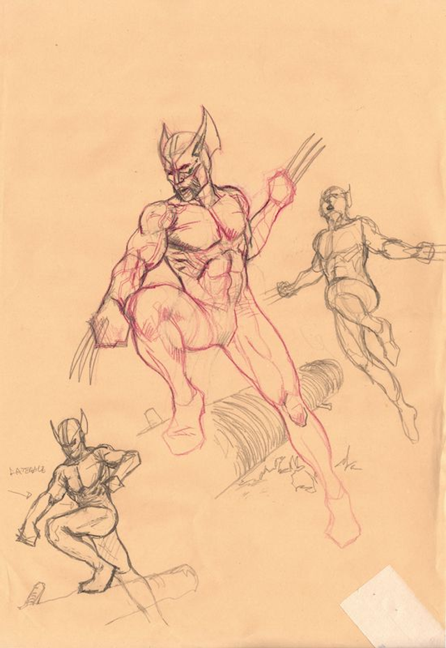 Wolverine study