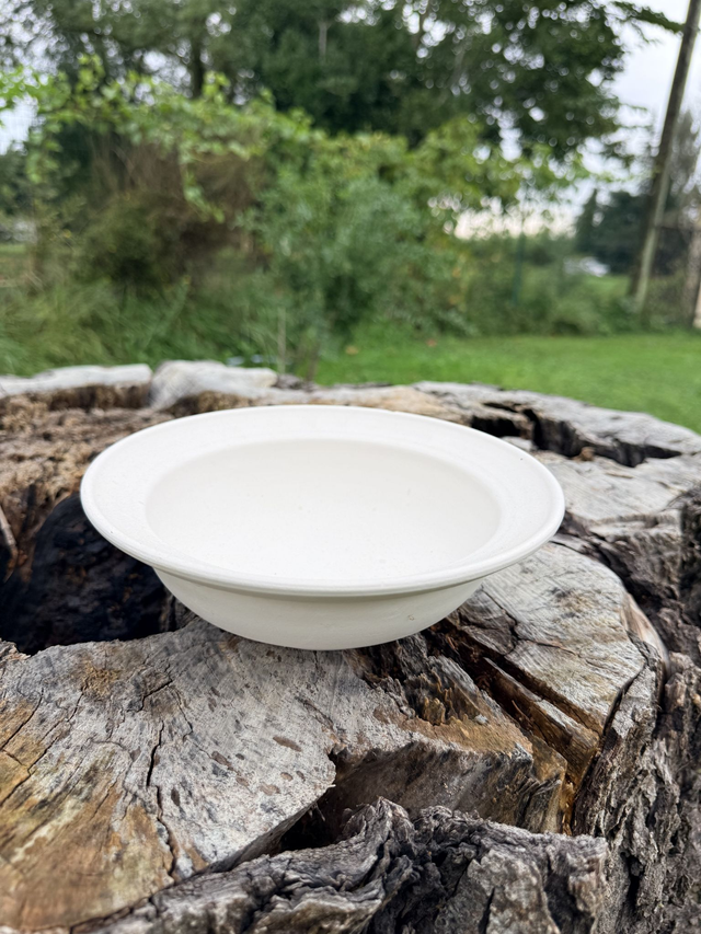 Assiette creuse 22 cm