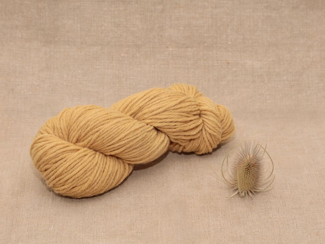 Mérinos Aran/Worsted - Echeveau 100g Aulne