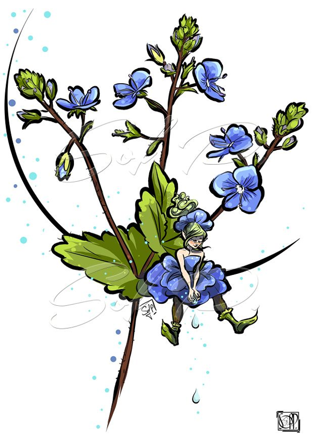 FEES DES JARDINS-Veronica