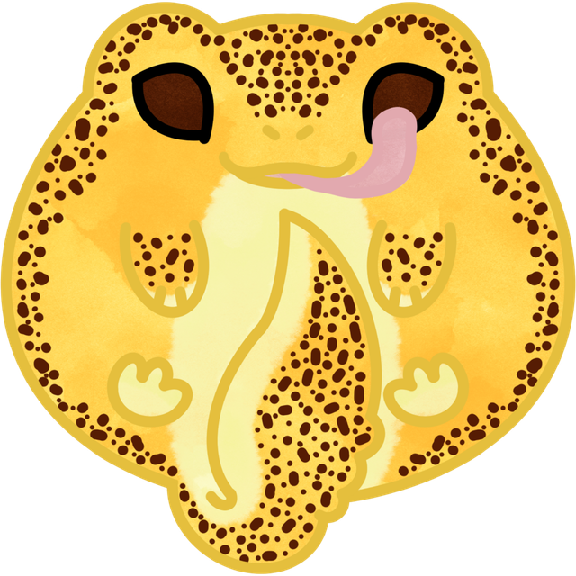 Gecko