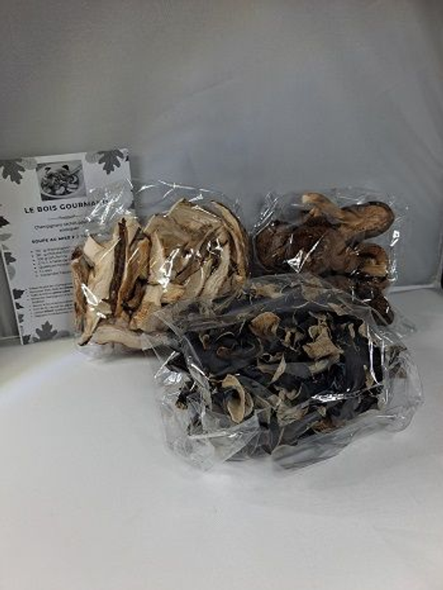 Champignons exotiques (Asie)