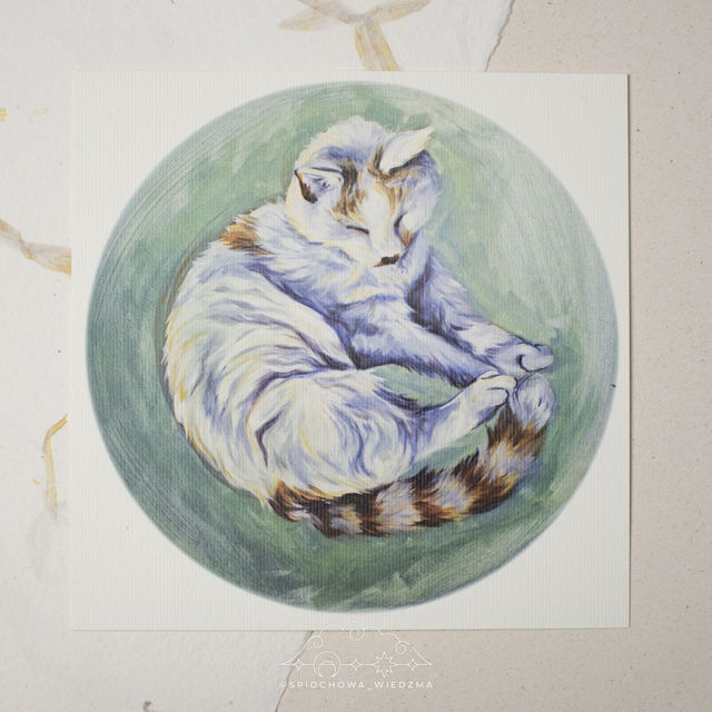 Print kot "Fikus" | ZWIERZĘTA