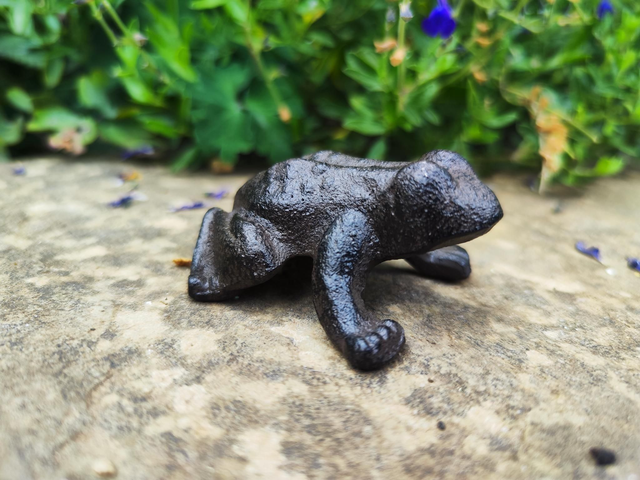 Cast Iron Frog