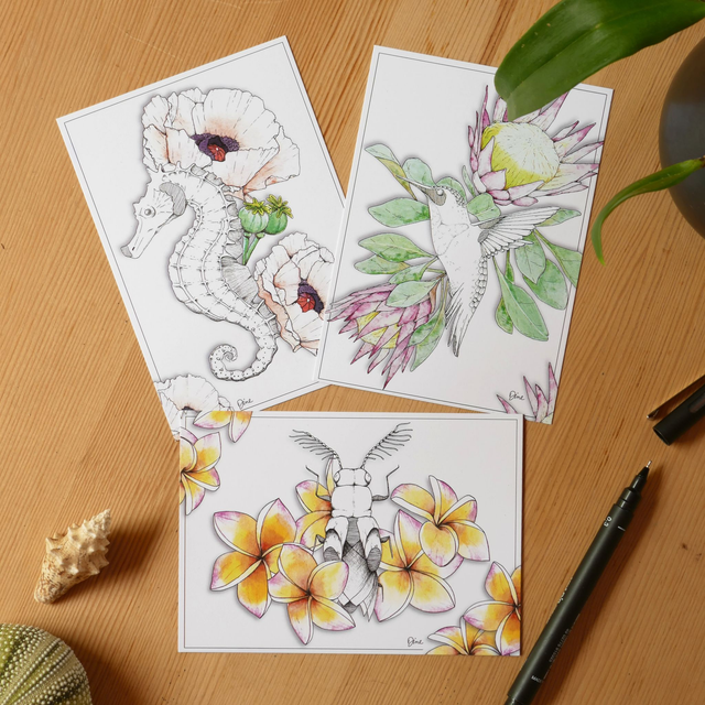 Bundle CARTE POSTALE – Frangipanier