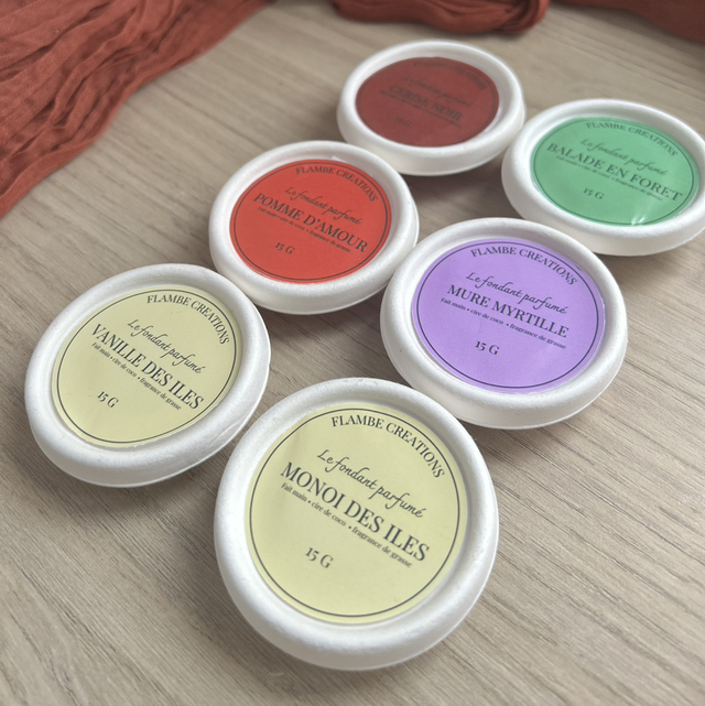 Lot de 6 fondants parfumés - 15 G