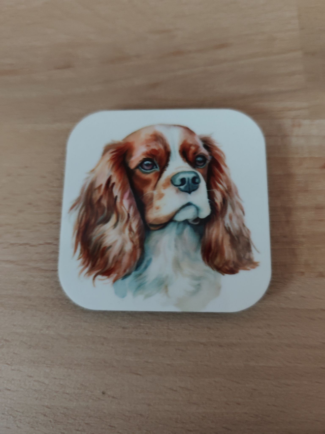 Magnet Cavalier King Charles