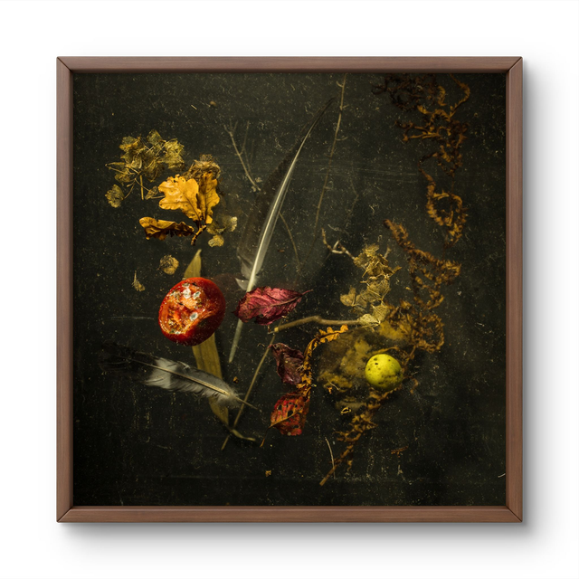 THE-MOLD-SHIELD FINE ART PRINT 30X30CM 