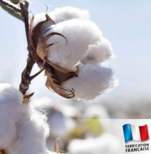 🎀Tourbillon Cocooning🎀