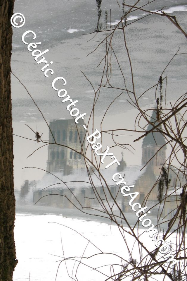 Impression sur alu dibond - Reflets et cours d'Eau (ref 0273)