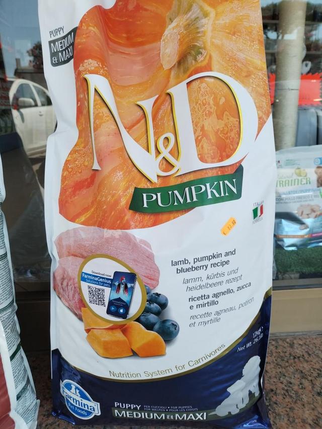 N&amp;D PUMPKIN PUPPY MEDIUM &amp; MAXI