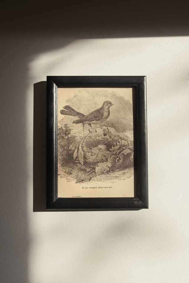 Nightingale 🥀 Cadre upcyclé