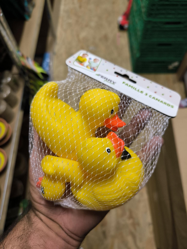 FAMILLE CANARD POUR LE BAIN X3 