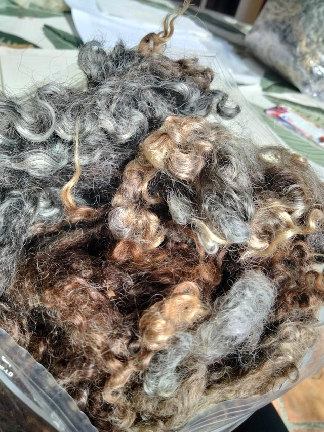 Leister Longwool Toison0028. 400g