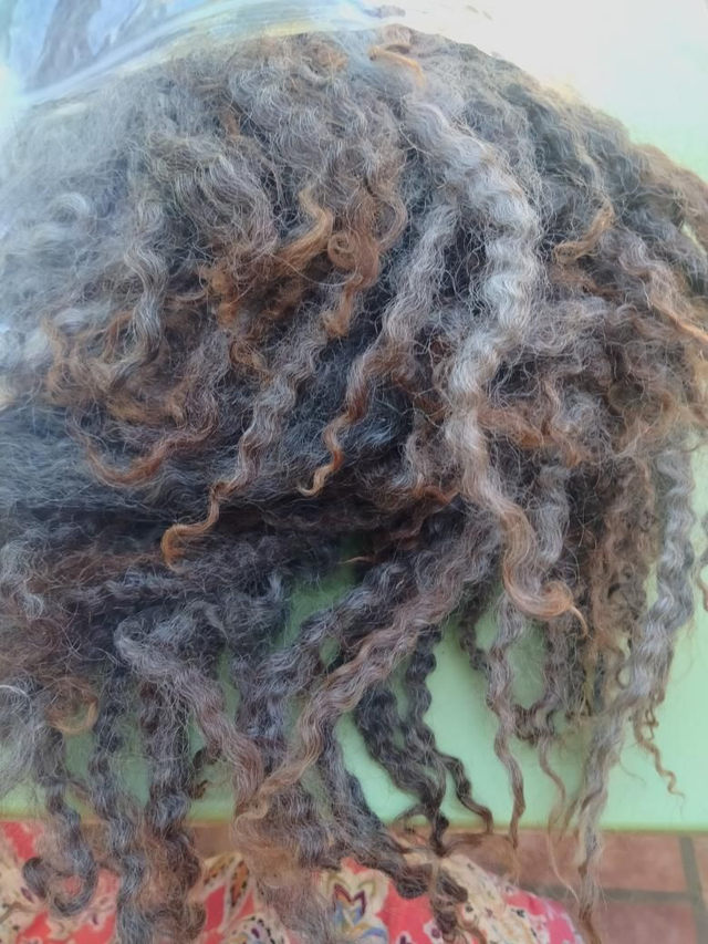 Boucles01103 Gotland x Leicester 46g