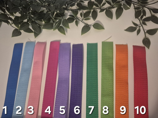 Custom Colour Double Webbed Collar | 3 Sizes | 2 Buckle Types