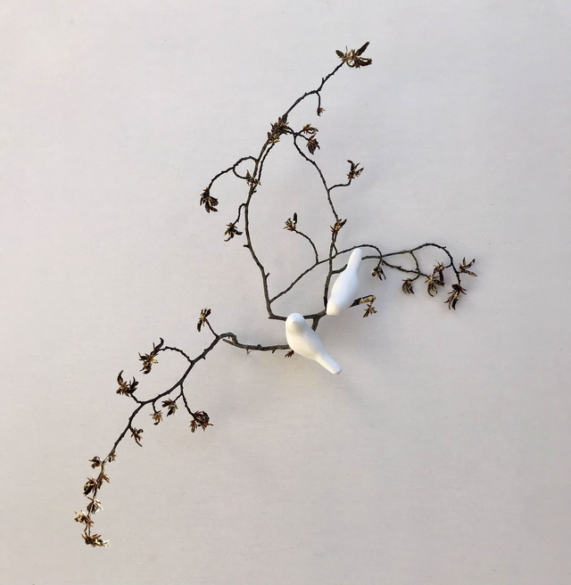 Nature Or "Couché de soleil"