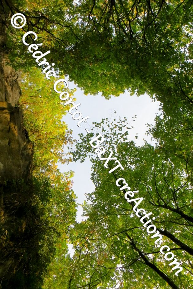 Impression sur alu dibond - Paysages et divers (ref 8802)