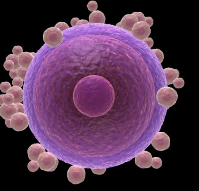 Estudio completo de fertilidad femenina