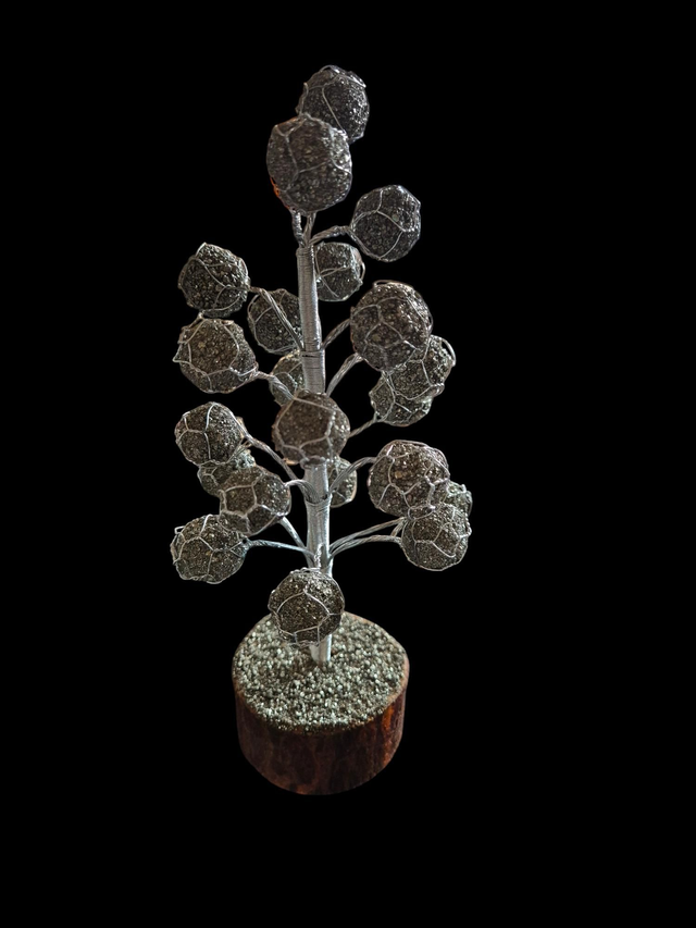 Wunderschöner Pyrit Edeinbaum (Katzengold)