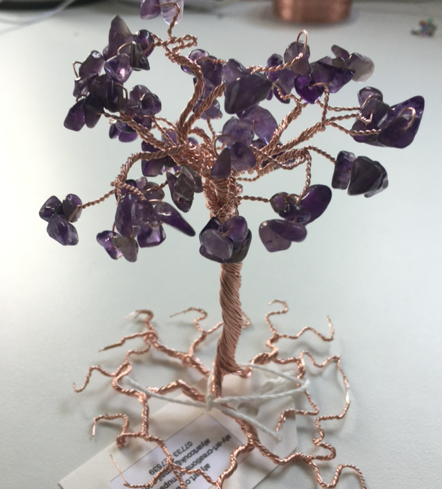 Amethyst Tree, Bare Roots