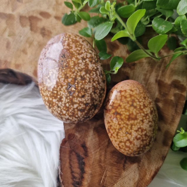 Orbicular Ocean Jasper palm