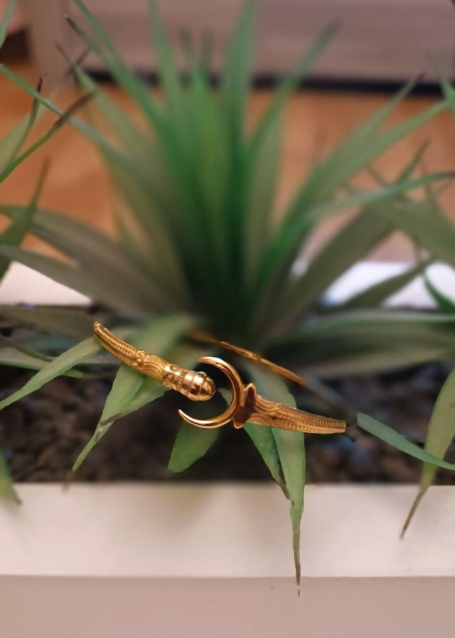 Vangovango tête de zébu 