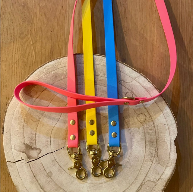 Laisse Funky 120 cm – Taille 20mm &amp; 25mm – Solide et Imperméable