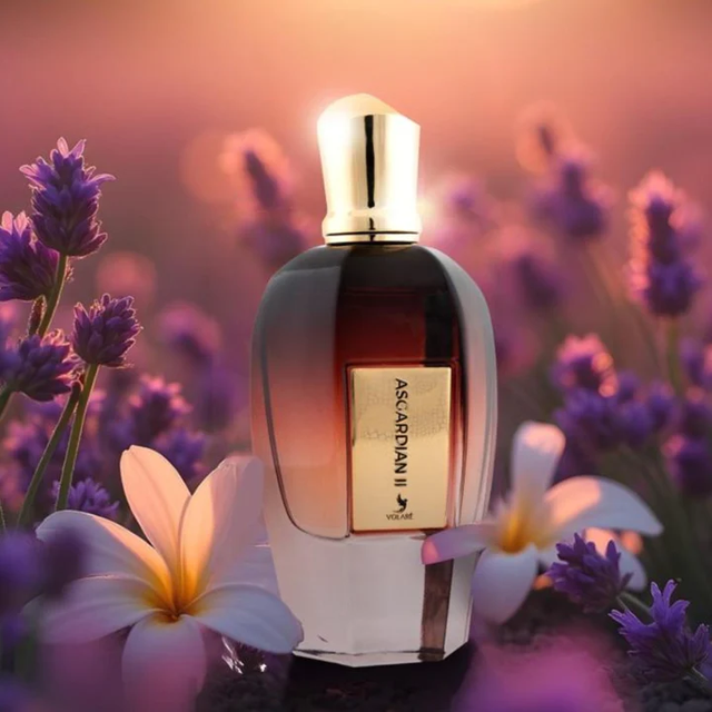 Asguardian 2 - Volaré 