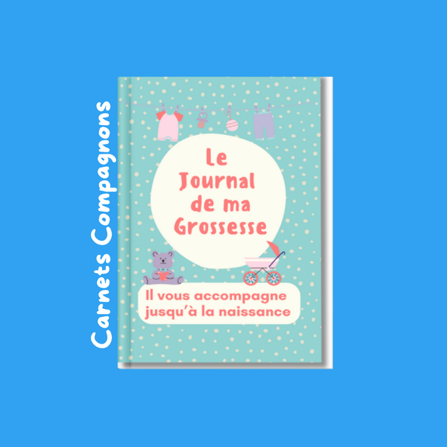 H. Le Journal de ma grossesse