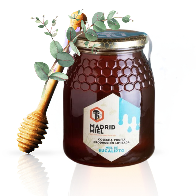 Miel de eucalipto