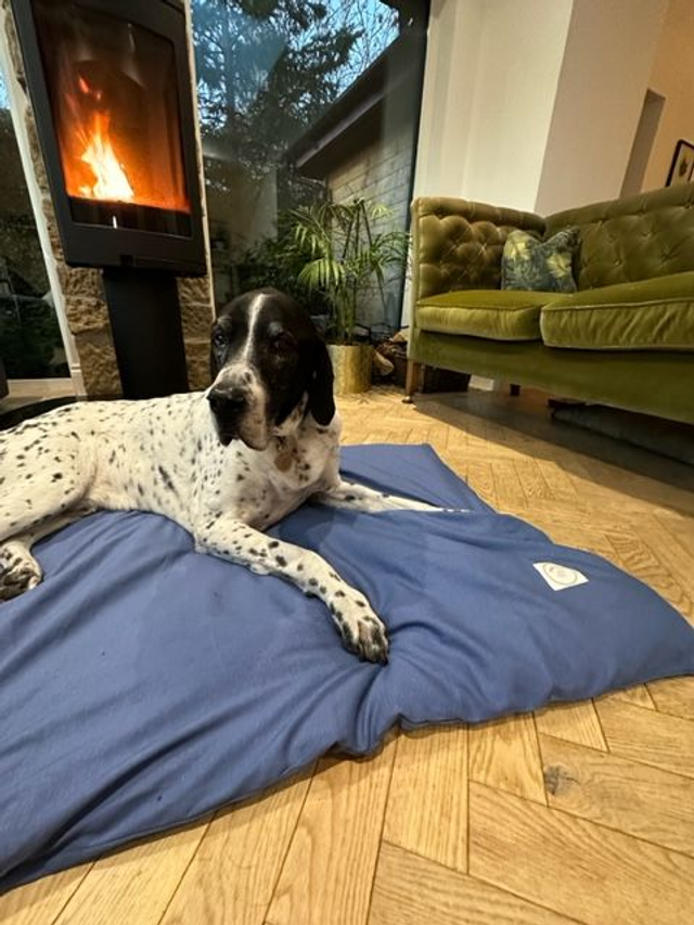 Doggie Duvet and cover in Blue Linen