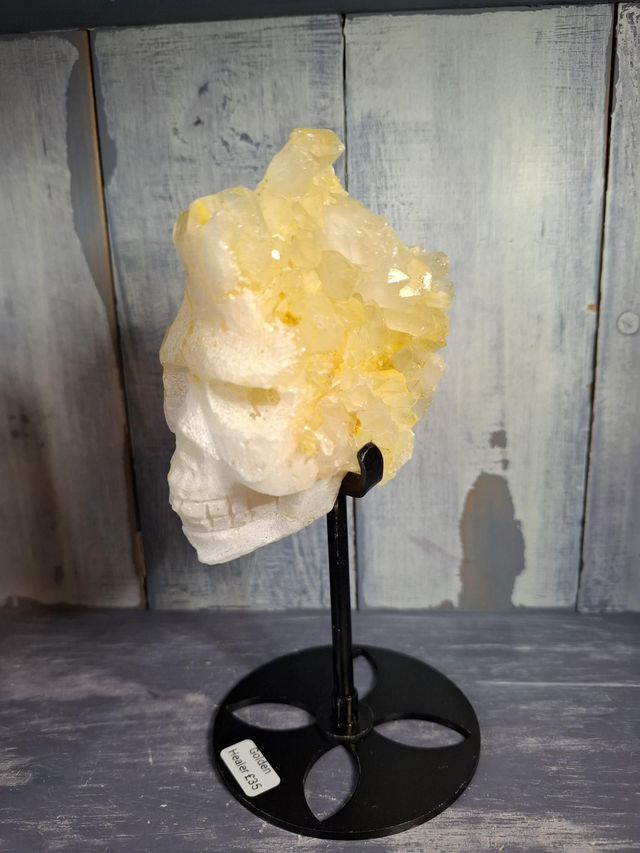 Golden Healer Druzy Skull 