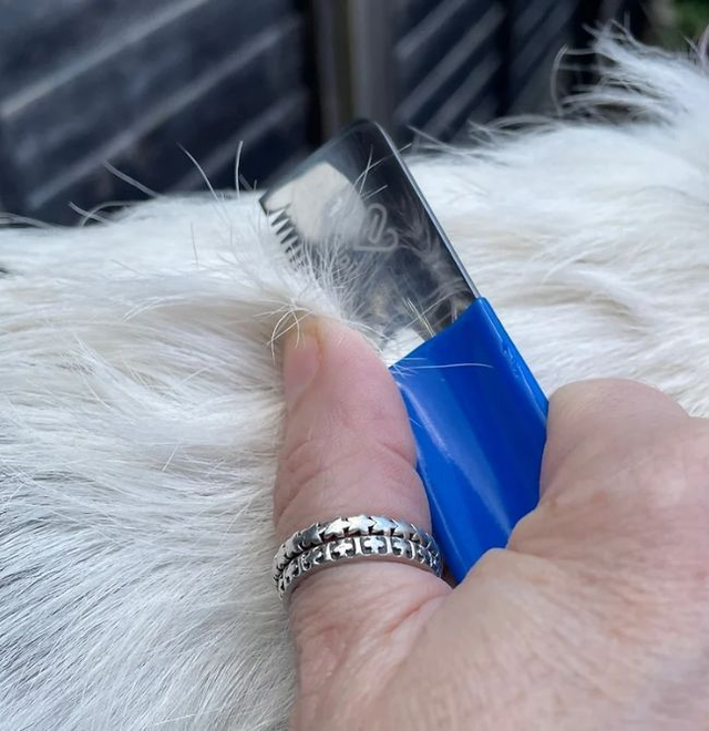 Grooming Extra - Dog Hand Stripping & Packages