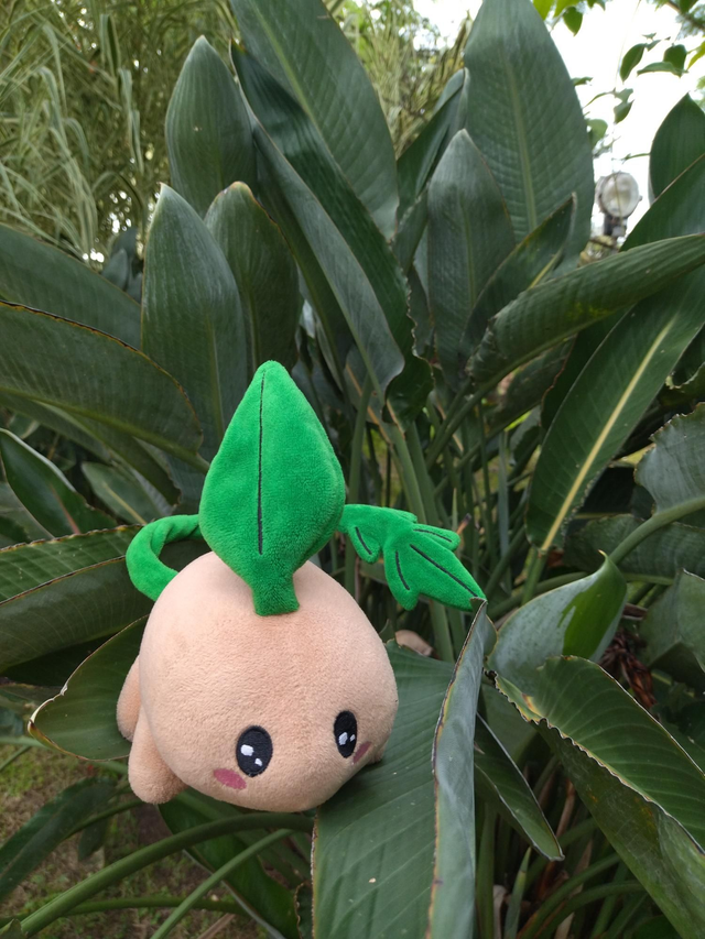 TIKA PLUSH (First numbered edition) / PELUCHE TIKA (première édition numérotée)