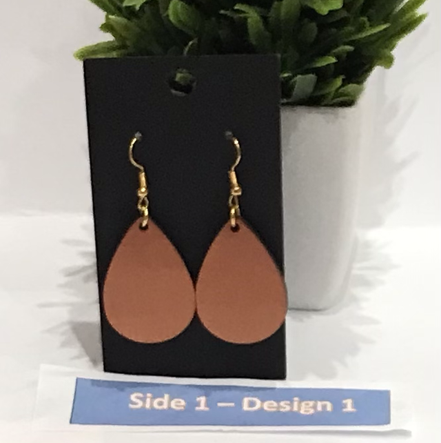 Two in One Mixed Colour Dangling Earrings- 2SD12