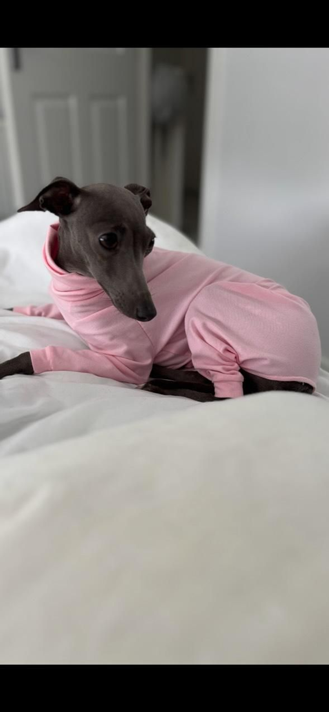 Jersey Onesie